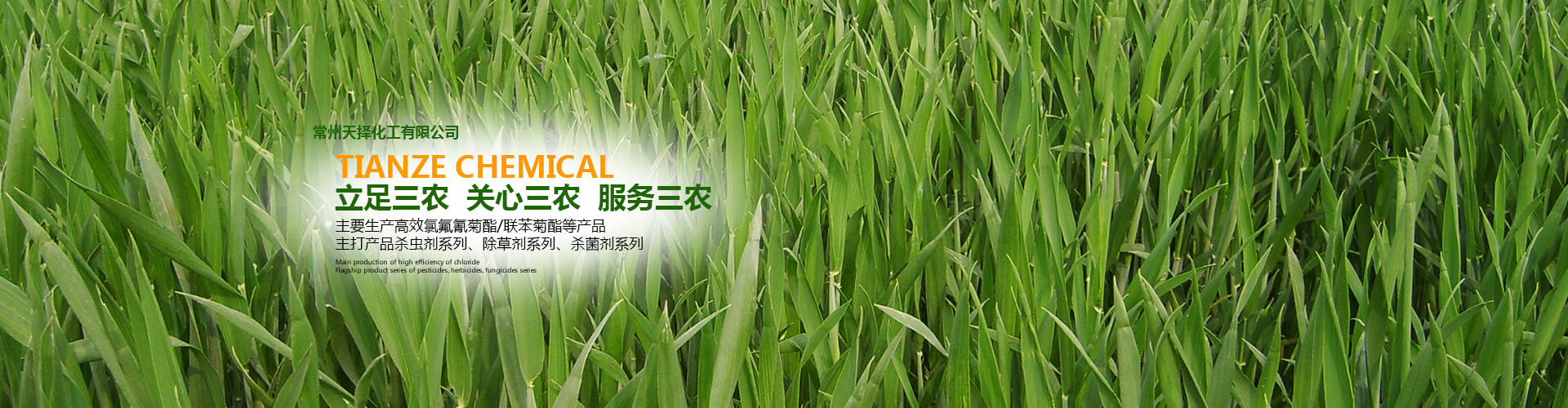 常州天择化工有限公司