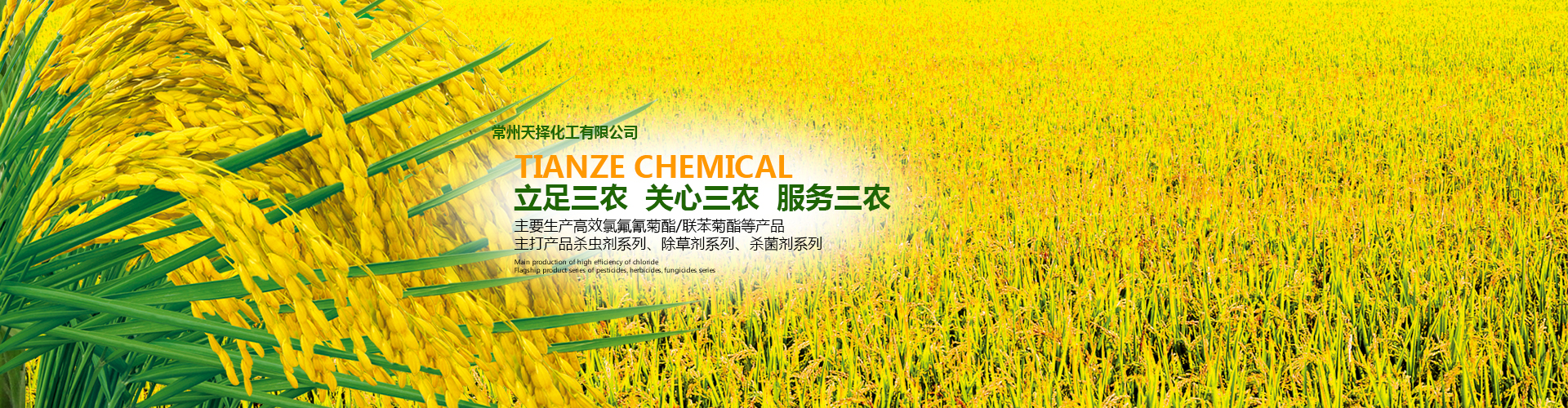 常州天择化工有限公司